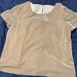 J Crew Women’s Beige Velvet T Shirt Size M